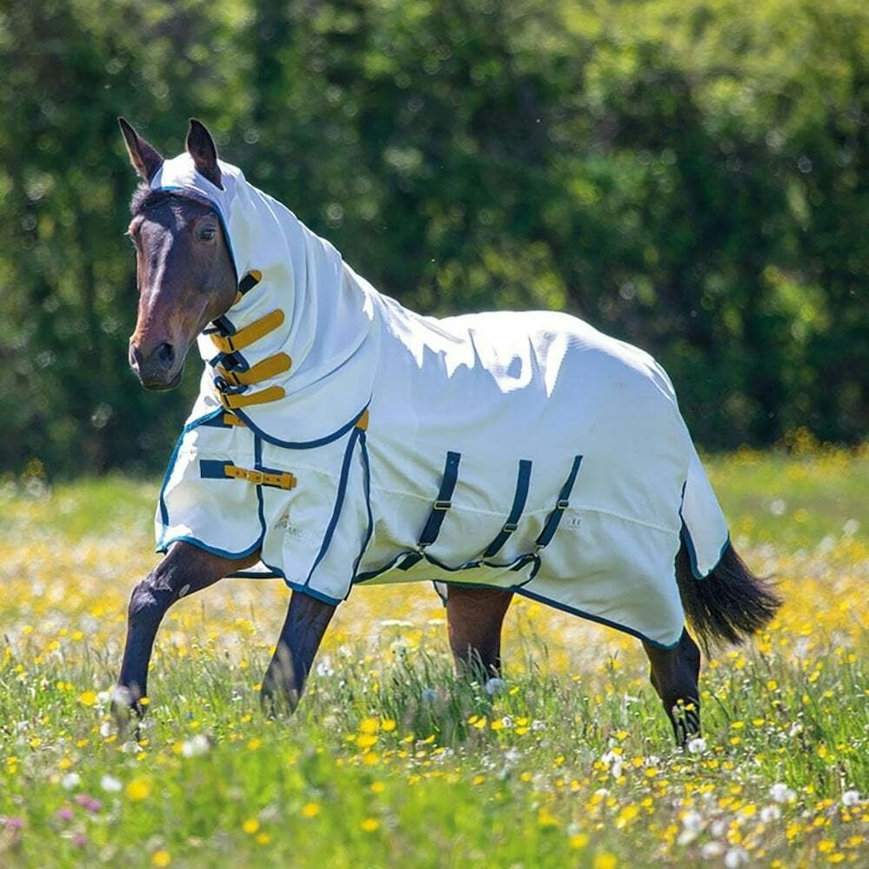 image 1 of Shires Highlander Plus Sweet-itch Horse Combo Rug - White - 78in