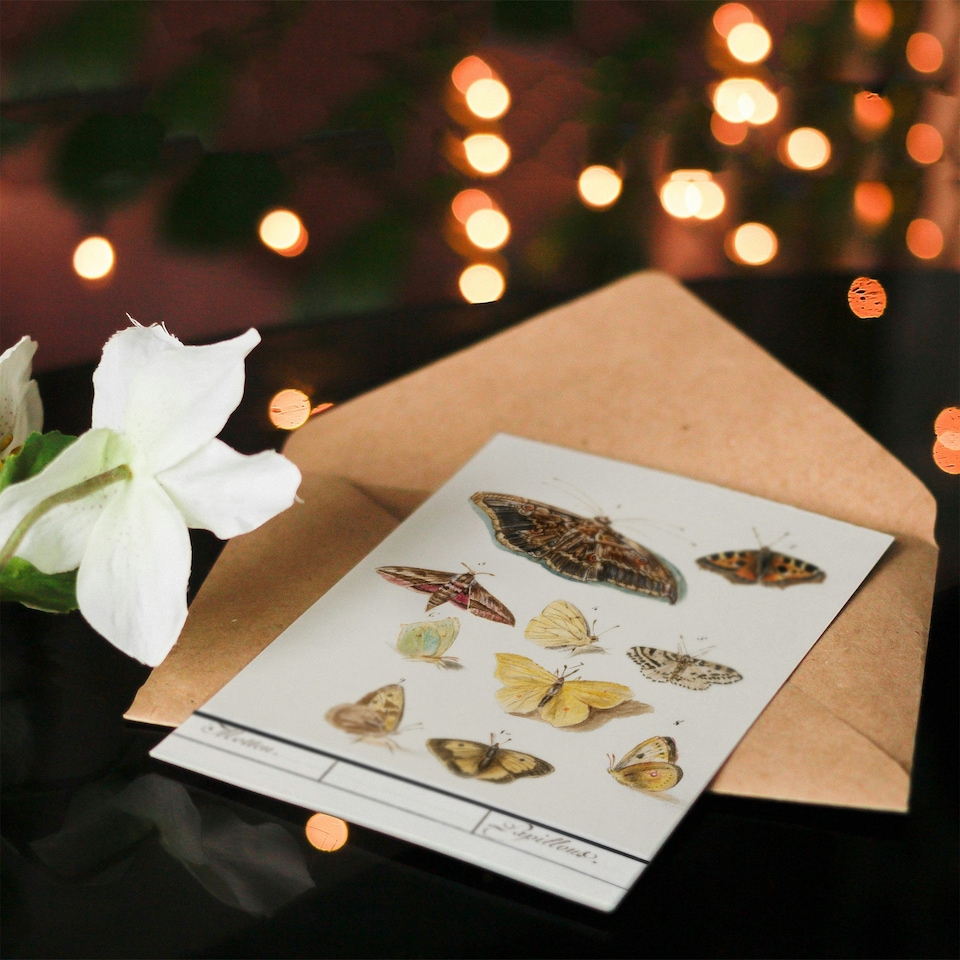 image 1 of Anselmus de Boodt Art Card Butterflies and Moths Study