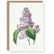 image 1 of Pierre-Joseph Redouté Art Card Lilac Vintage Floral Illustration