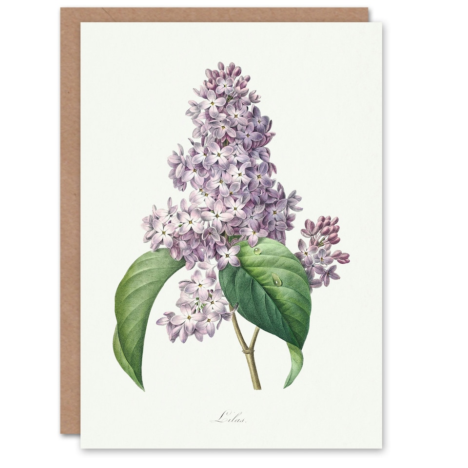 image 1 of Pierre-Joseph Redouté Art Card Lilac Vintage Floral Illustration