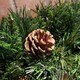 image 4 of 90cm Deluxe Snow Time Princess Green Garland Swag 108 Tips With 5 Pine Cones