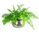 image 3 of Leaf XL Metal Bowl Planter 32 x 20cm Hammered Silver Colour - Straight Edge Silver