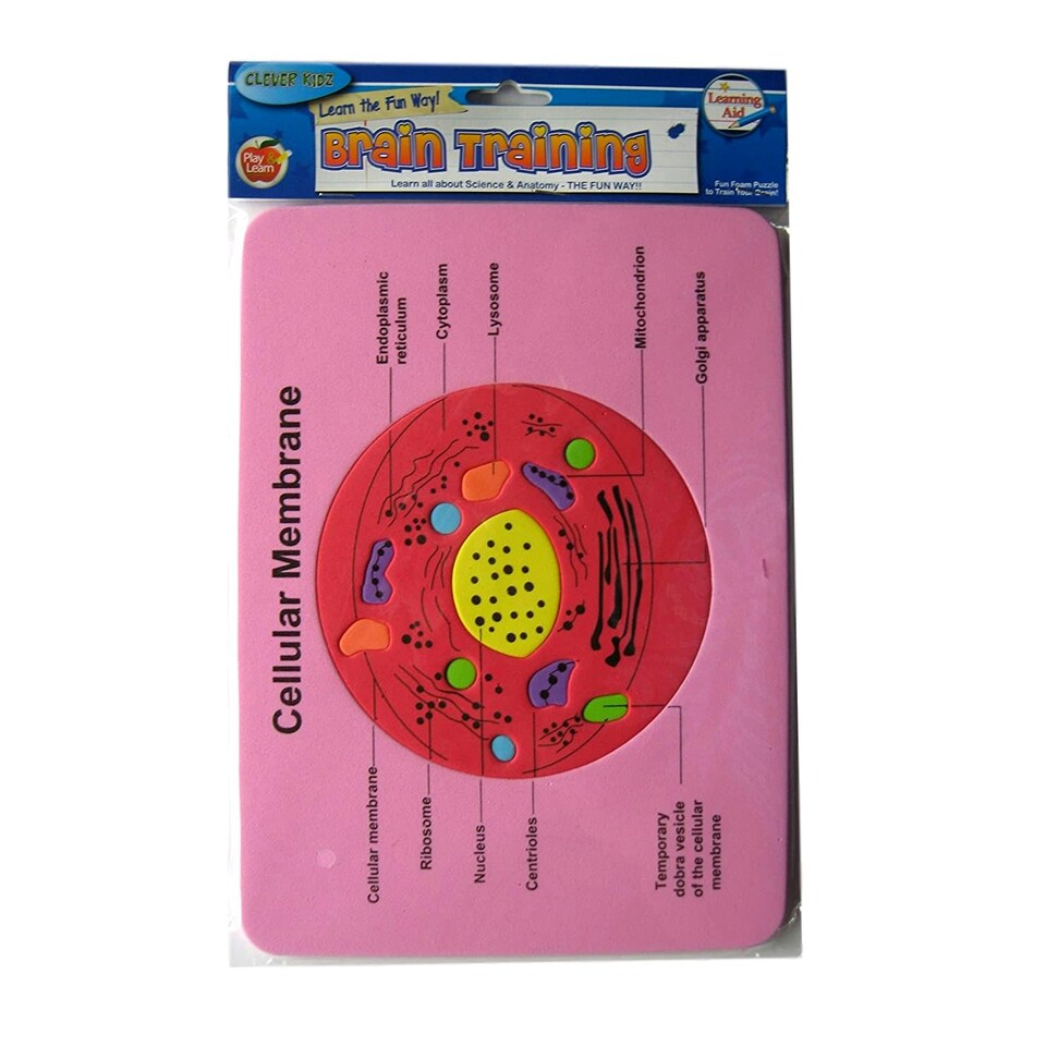 image 1 of Brain Training Foam Puzzle of Cellular Membrane by Clever Kidz