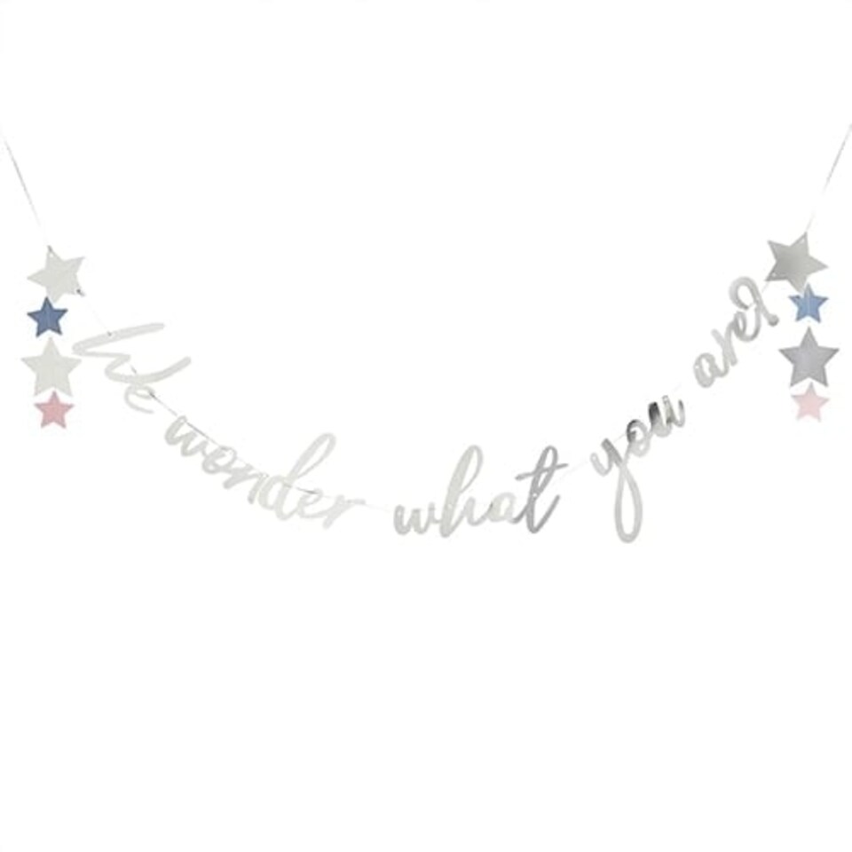 image 1 of Silver We Wonder What You Are Gender Reveal Foil Cardboard Letter Banner 200cm