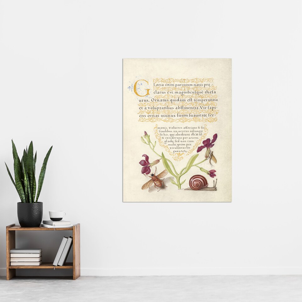image 1 of Gillyflower Fly Mayfly and Snail Calligraphy Huge Wall Art Poster Print 24X32"