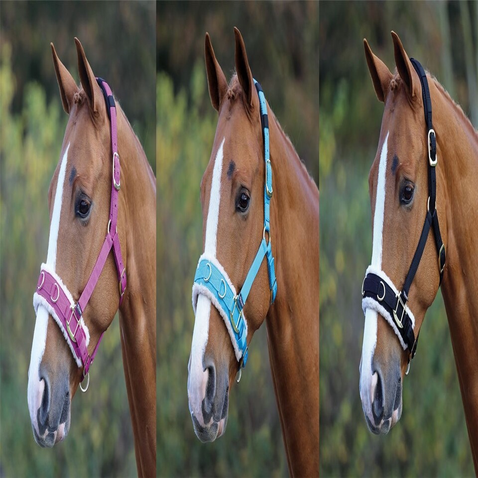 image 1 of Shires Fleece Lined Lunge Cavesson Blue | Size: Cob
Colour: Navy Blue