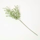image 1 of Homescapes Artificial Branch with Small White Flowers, 66 cm