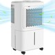 image 6 of HOMCOM 12L/Day Small Dehumidifier for Home Damp, with Humidity Light