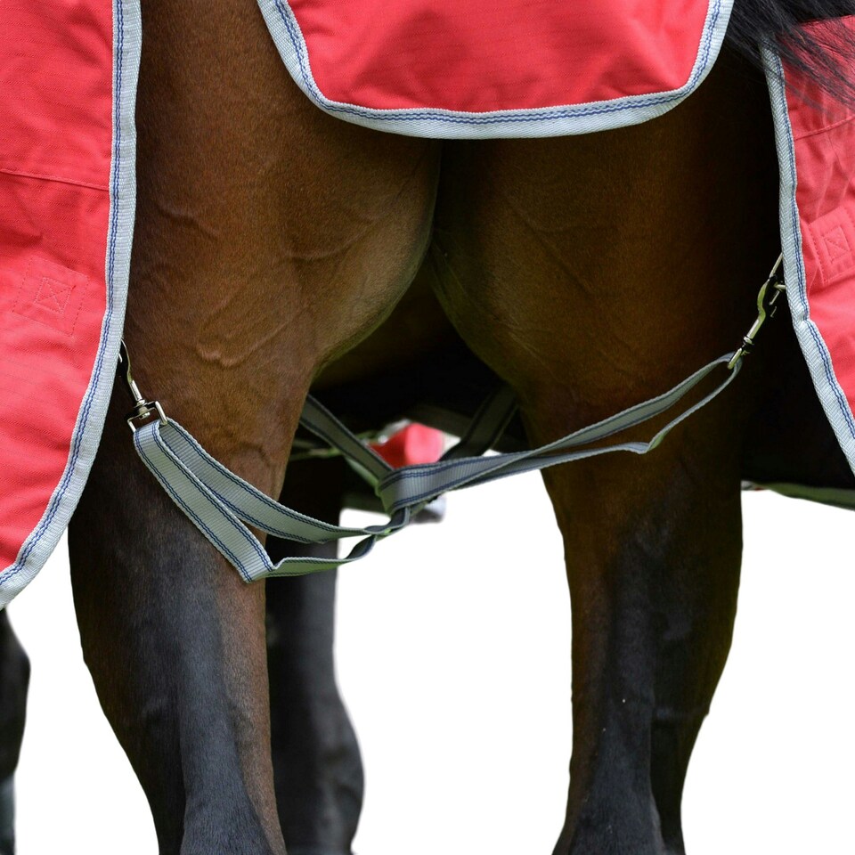 image 1 of Weatherbeeta Comfitec Classic Lite Plus Combo Neck Horse Turnout Rug - Red/Silver/Navy - 5´ 3"