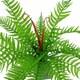 image 3 of 60cm Artificial Bushy Dixie Wood Fern Dark Green Plant