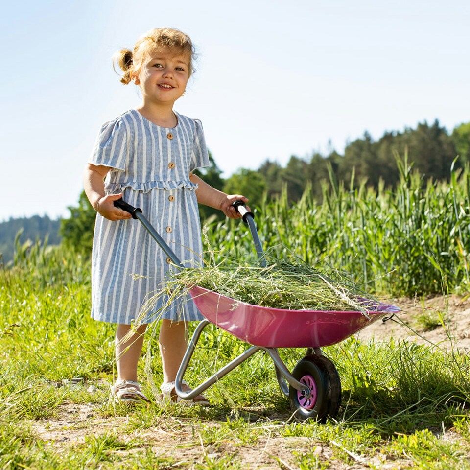 image 1 of Rolly Childs Pink Metal Wheelbarrow