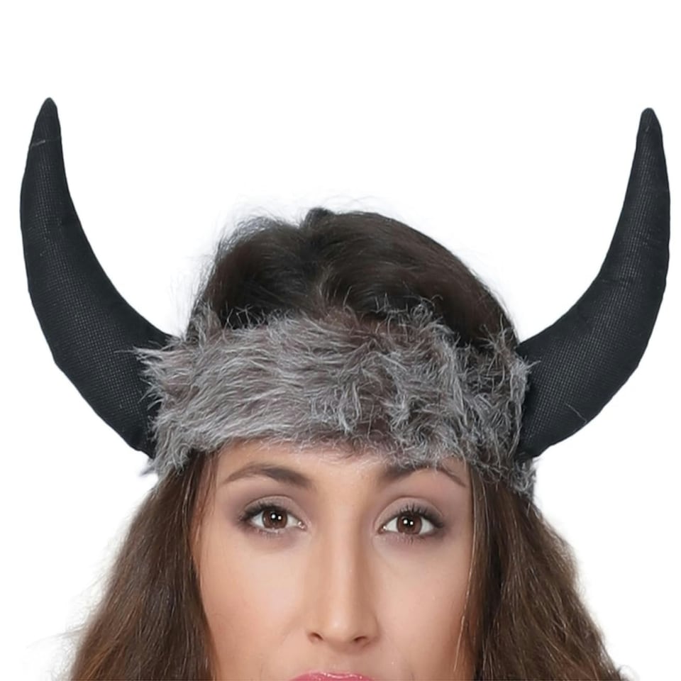 image 1 of Fancy Dress Adult Ladies Viking - L
