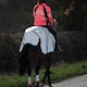 image 3 of Weatherbeeta Reflective Wrap Around Horse Exercise Sheet | Silver | Silver/Black | S | 1