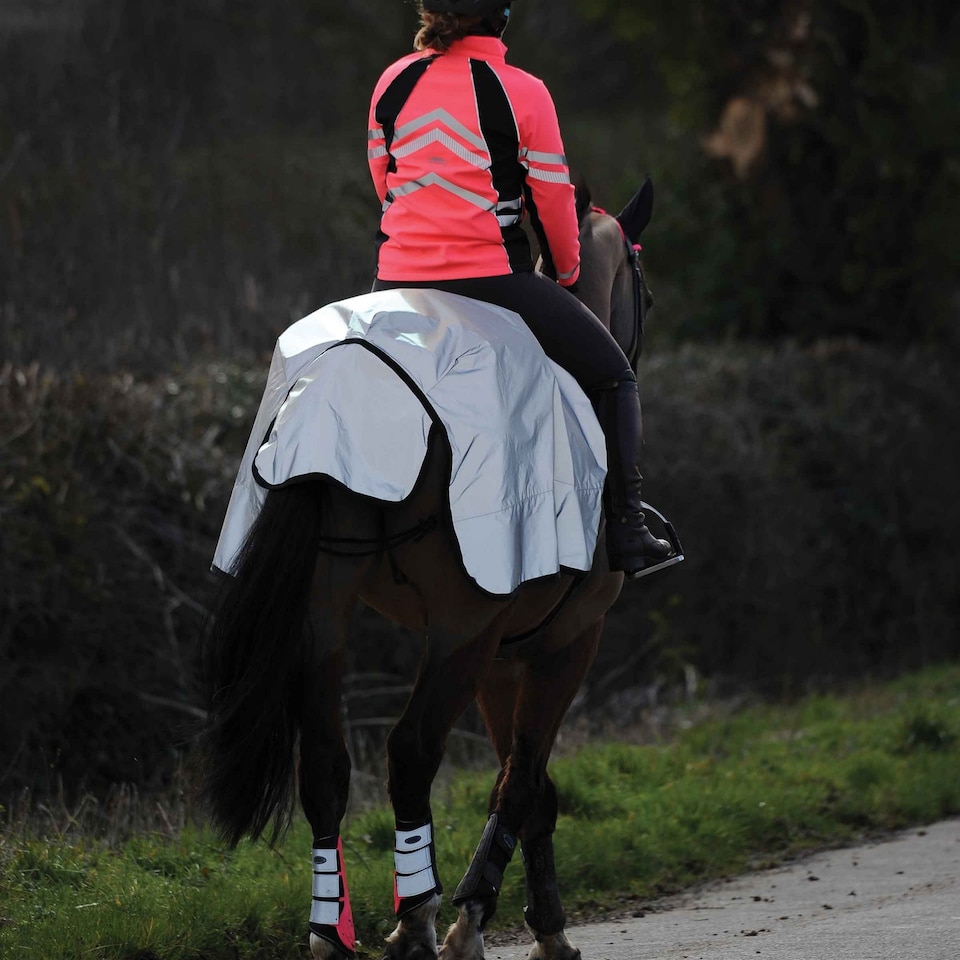 image 1 of Weatherbeeta Reflective Wrap Around Horse Exercise Sheet | Silver | Silver/Black | S | 1