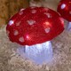 image 5 of Set of 4 Battery Operated Red & White Acrylic Christmas Mushrooms with Cool White LEDs