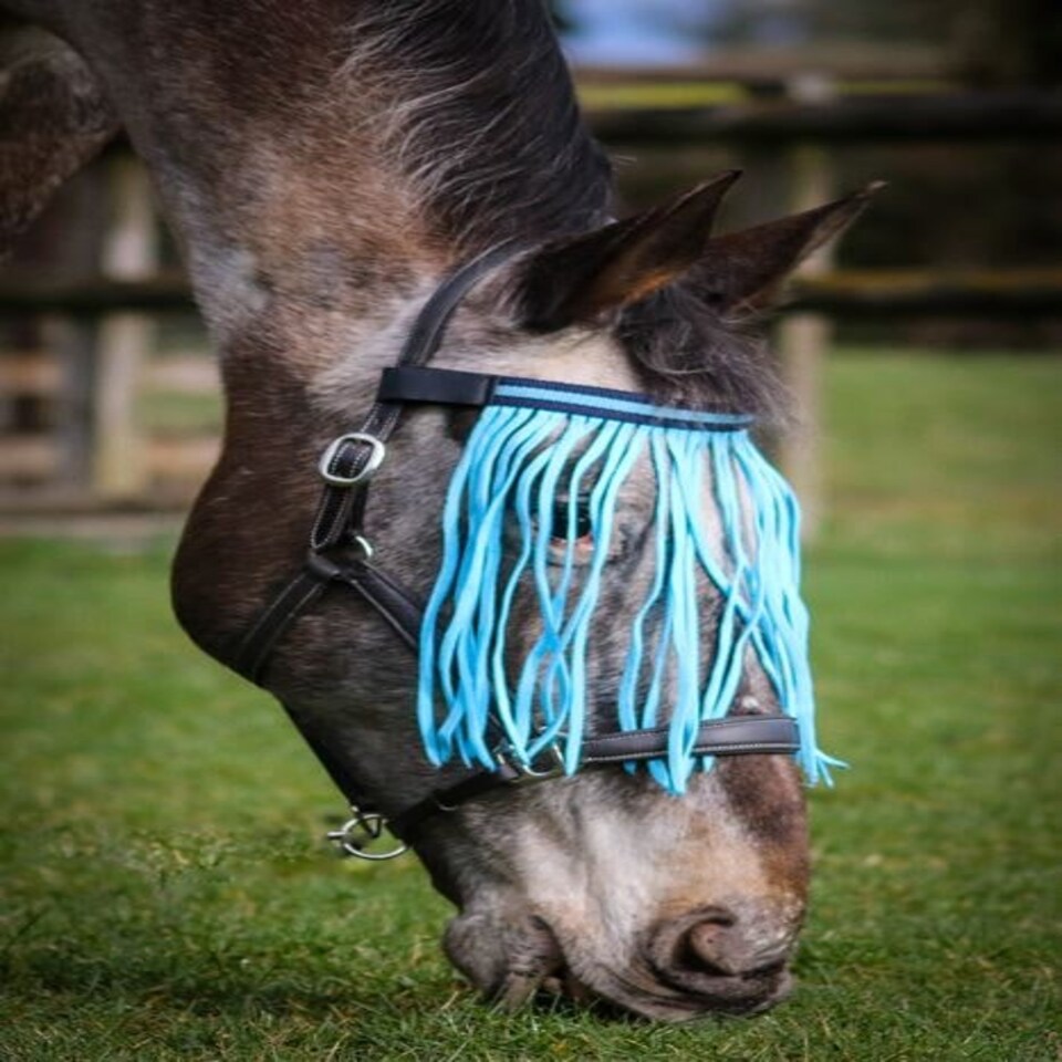 Gallop Equestrian Fly Fringe Black | Colour: Black/Red
Size: One Size