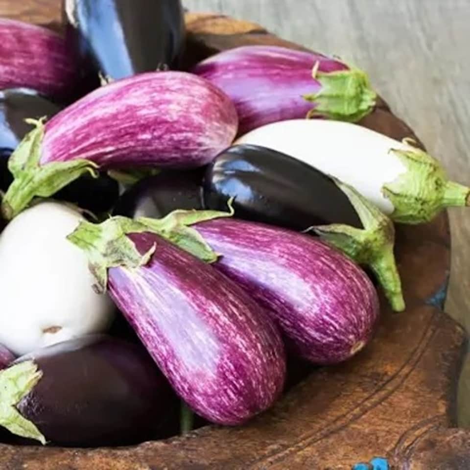 image 1 of Aubergine Patio Mix | Multi | Green, White, Purple | Seeds | 1