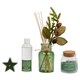 image 5 of Reed Perfume Diffuser Scented Candle Aromatherapy Gift Box Set Home Decor 100ml | Multi | Mistletoe & Fir