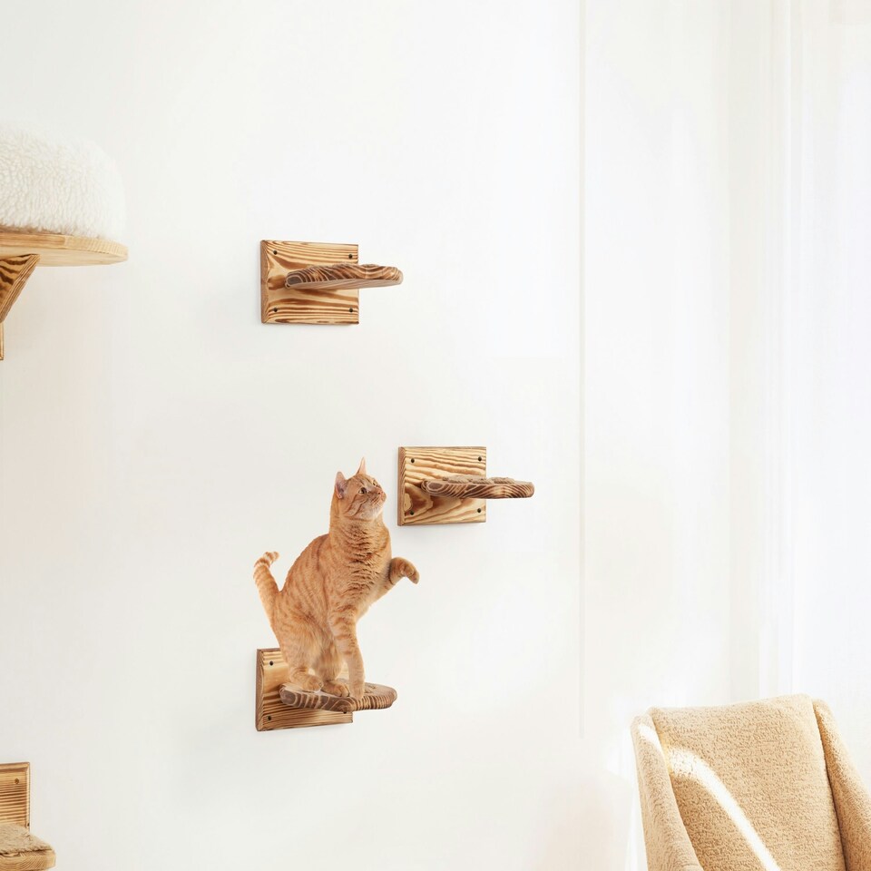 image 1 of NOVECRAFTO Paw Design Cat Wall Steps – Set of Solid Wood Wall-Mounted Shelves & Bridge Steps – Durable Cat Wall Furniture for Climbing & Play