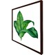 image 3 of Bunched leaves (Picture Frame) Brown | Oak | S