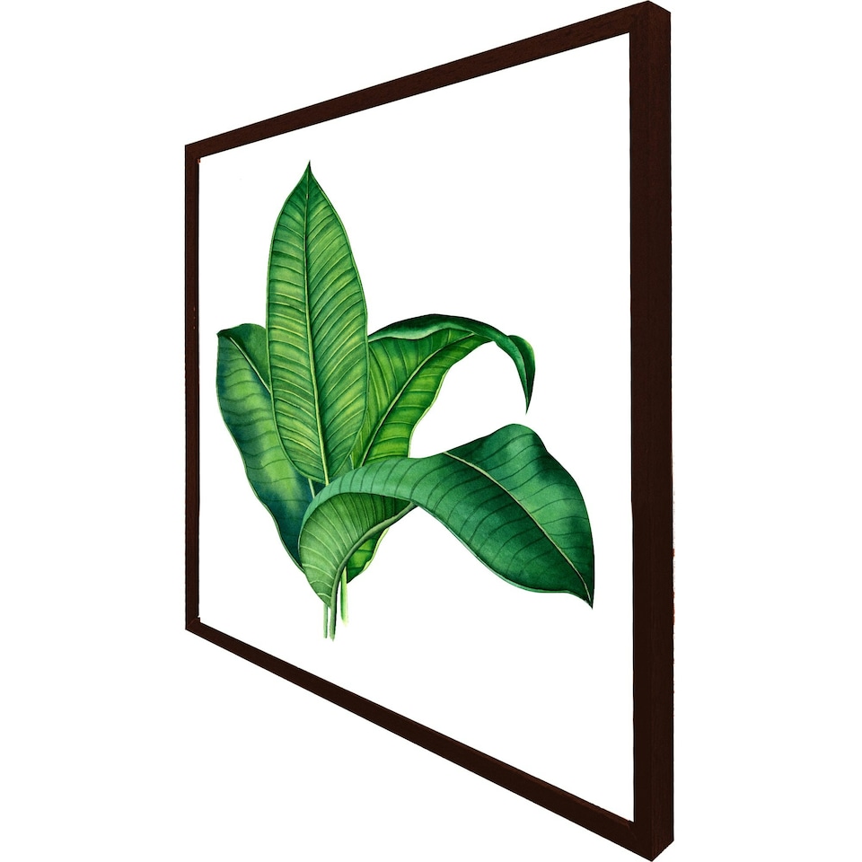 image 1 of Bunched leaves (Picture Frame) Brown | Oak | S