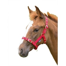 Shires Foal Headcollar - Red - Foal/Mini
