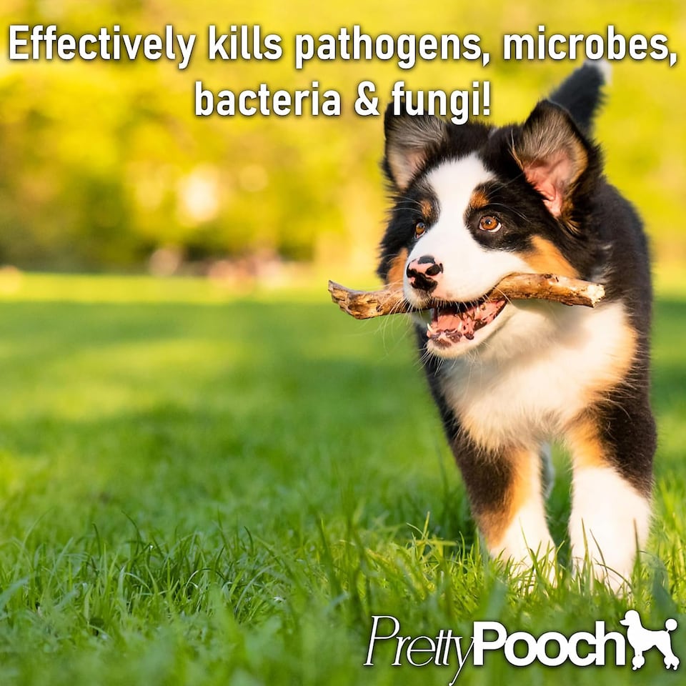 image 1 of Pretty Pooch Multipurpose Disinfectant - Cleaner, Sanitiser, Deodoriser - Concentrated Formula - Bubblegum 5L x2