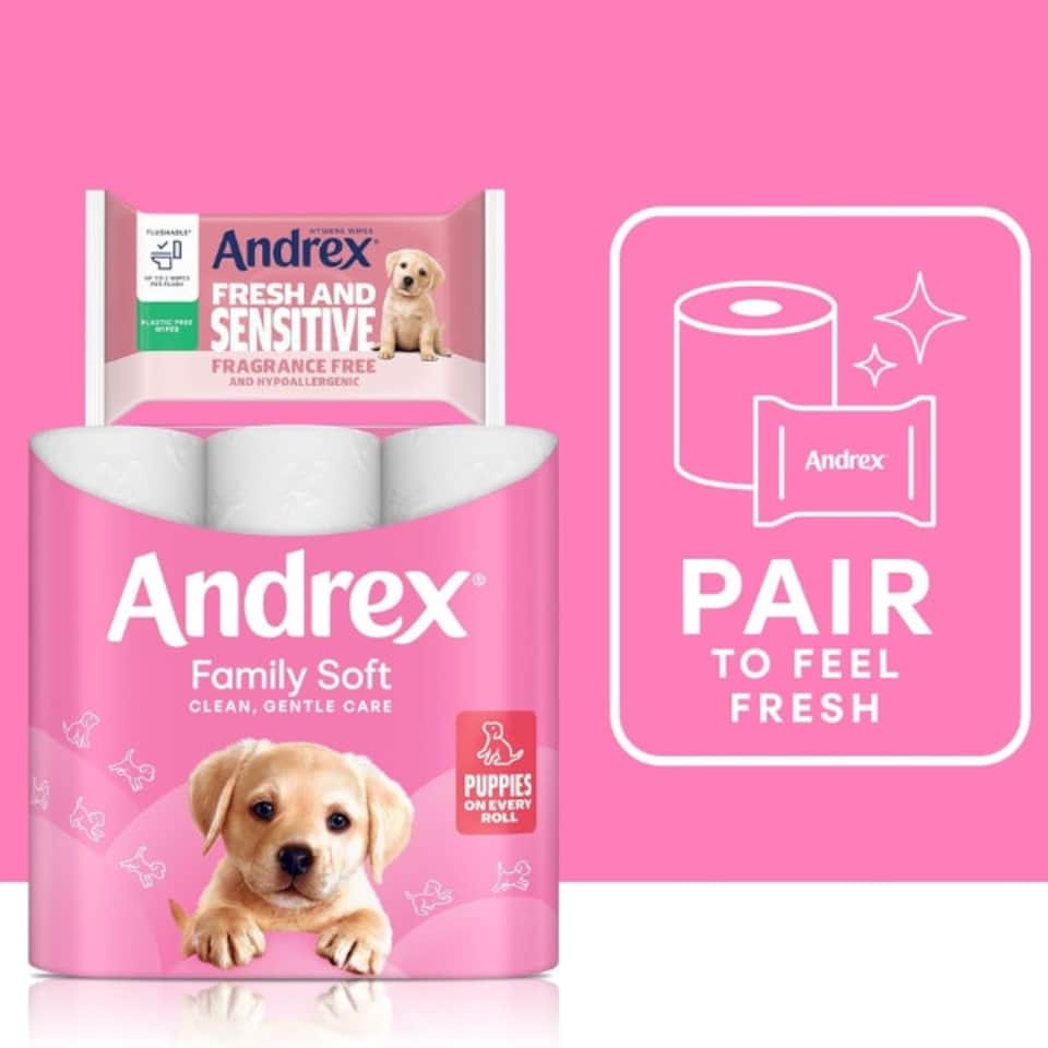image 1 of Andrex Family Soft Toilet Tissue 72 Rolls (Previously Andrex Gentle Clean) Gentle on your FamilyÕs skinÐ Bulk Pack of 72 Toilet Rolls, FSC Certified