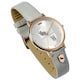 image 1 of Harry Potter Womens/Ladies Hufflepuff Leather Watch - Silver - One Size