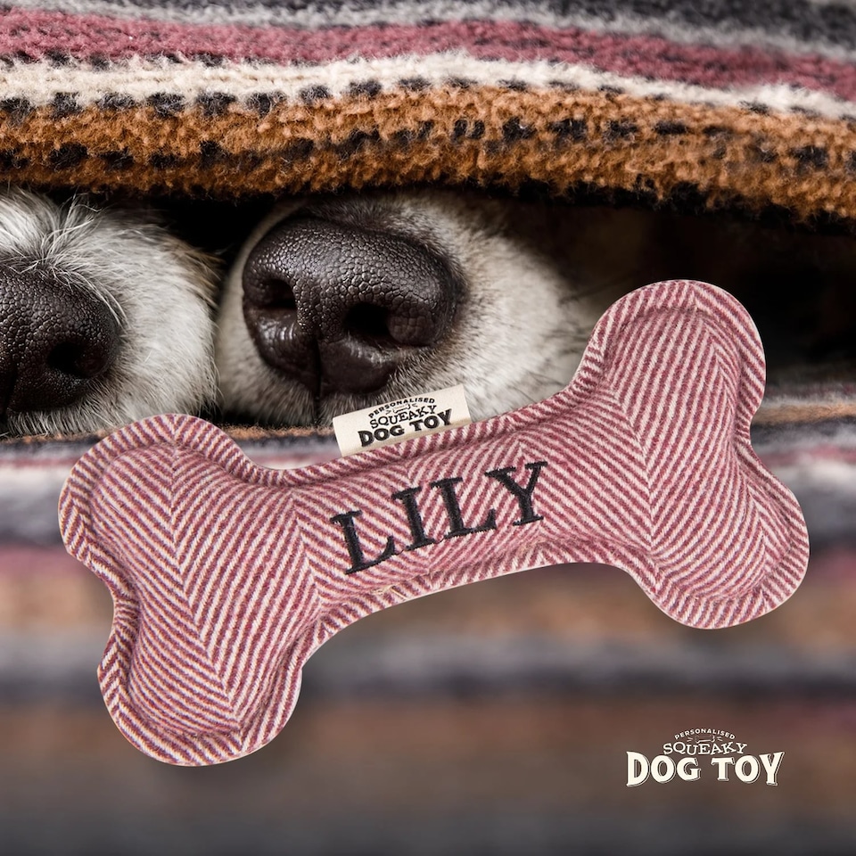 image 1 of History & Heraldry Pre-Personalised Squeaky Bone Dog Toy - Lily