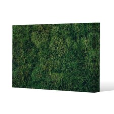 Natural green moss (Canvas Print) 46 x 31 x 4cm