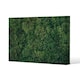 image 1 of Natural green moss (Canvas Print) 46 x 31 x 4cm