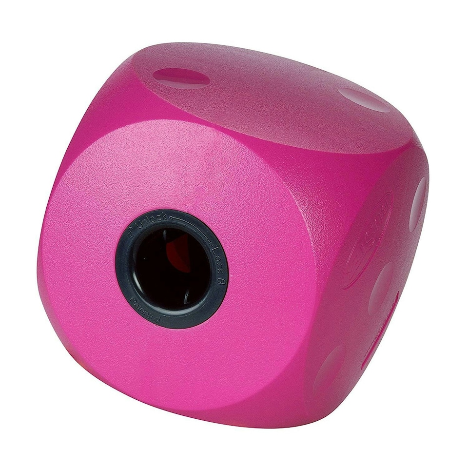 Buster Food Cube - Cherry - Large