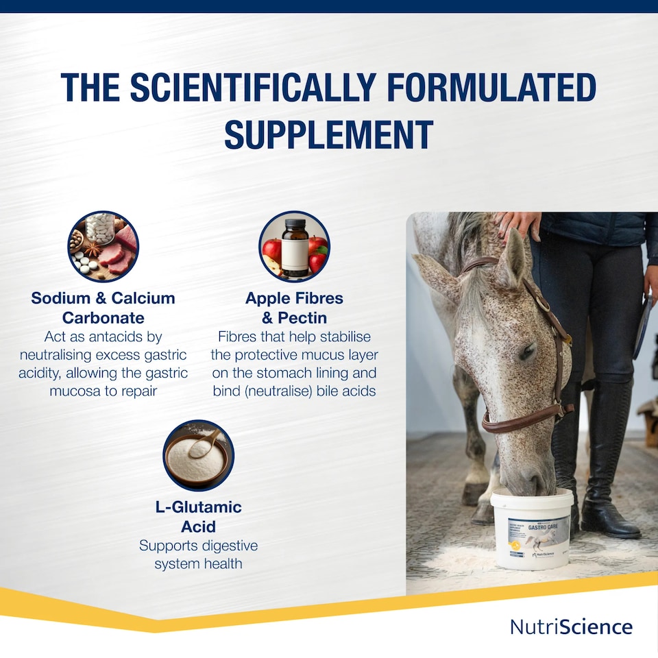 image 1 of NutriScience Horse Gastric Supplement Gut Ulcer Digestive Support Powder 1.8kg