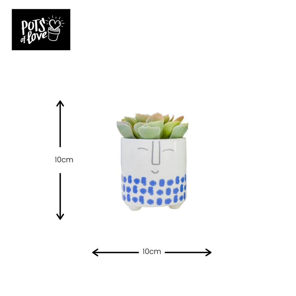 image 1 of KitchenCraft Planter Blue Dolomite Happy Face Blue