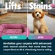 image 9 of Pet Pro Antibacterial Carpet Cleaning Shampoo (1L)