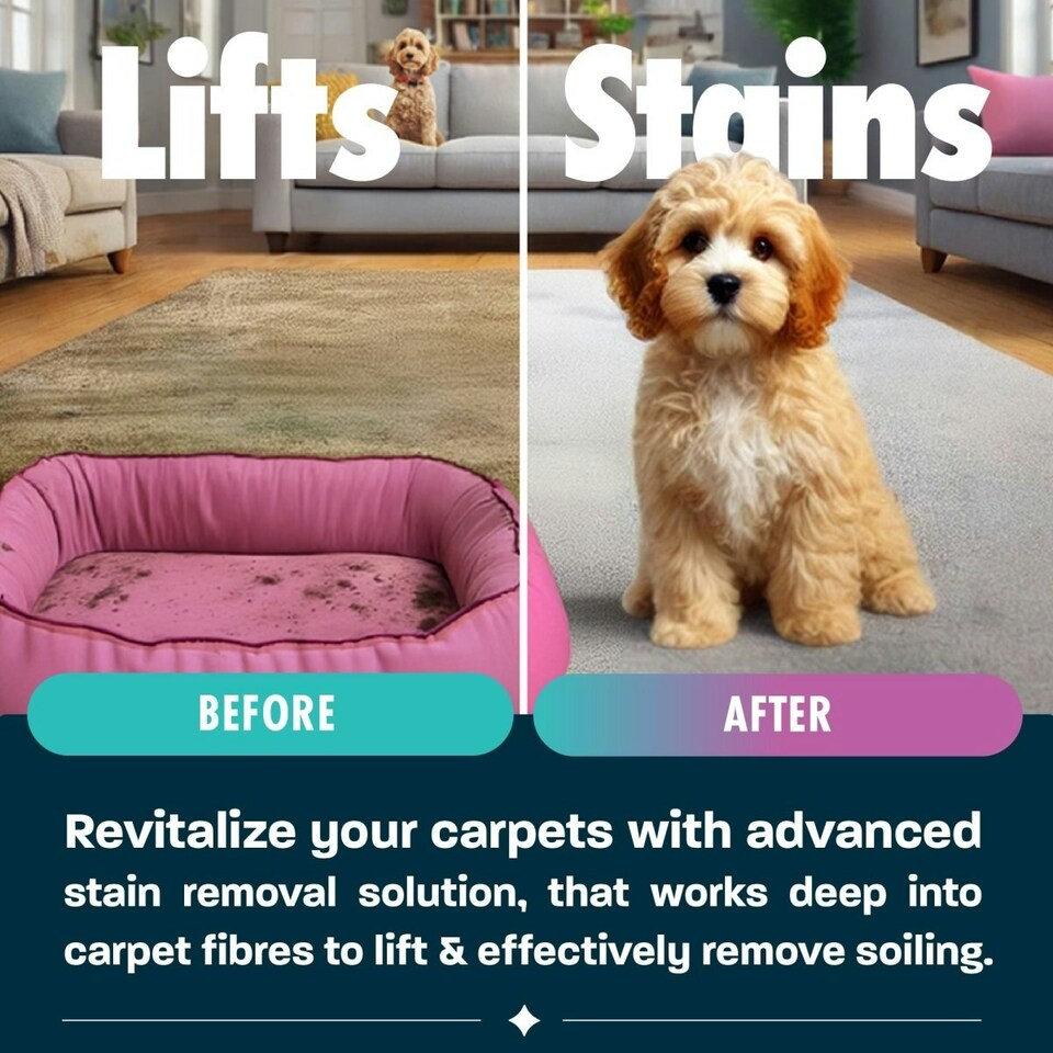 image 1 of Pet Pro Antibacterial Carpet Cleaning Shampoo (1L)