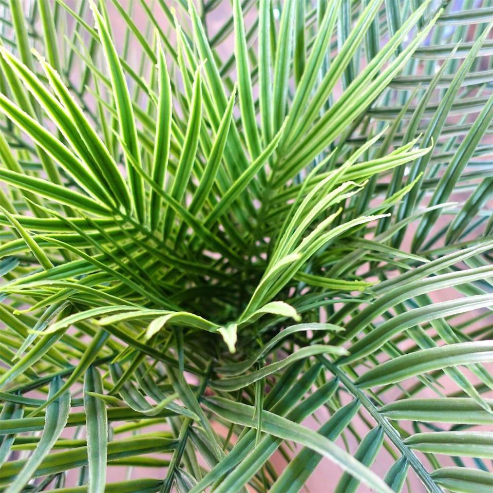 image 1 of Leaf 120cm Cycas Palm Tree UV Resistant Outdoor | Green | 4ft