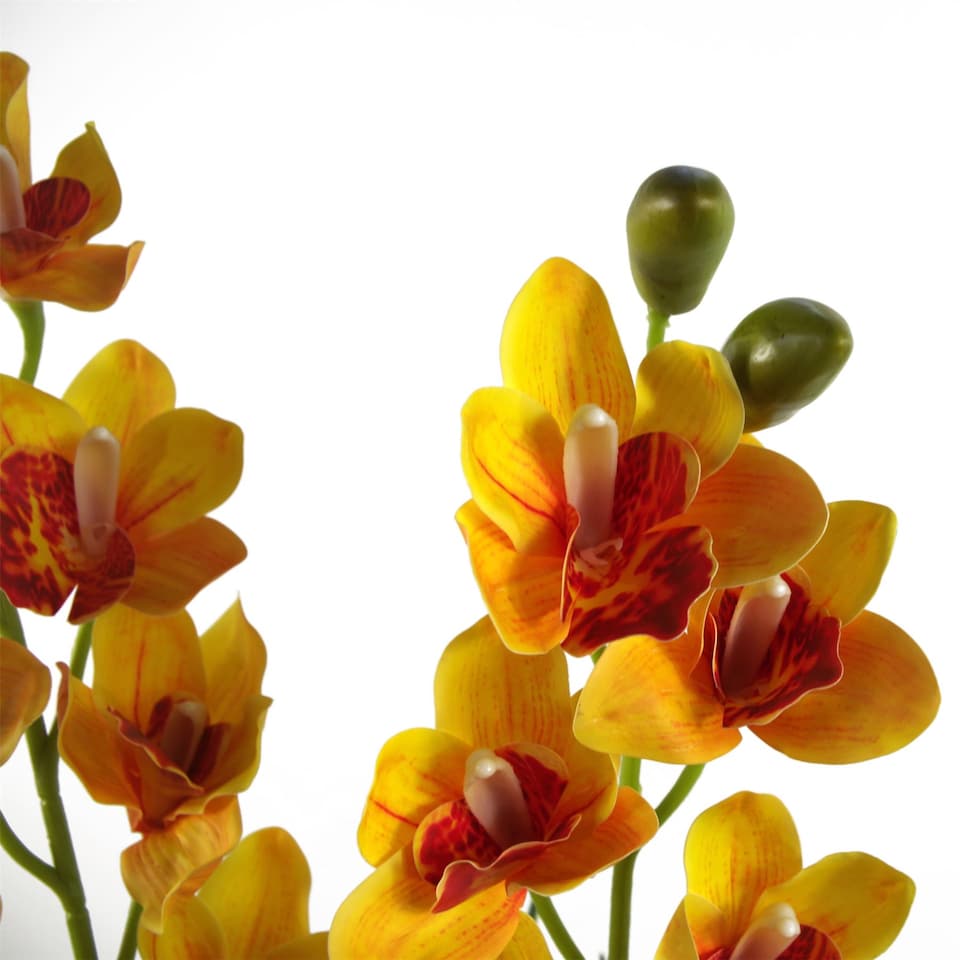 image 1 of 90cm Yellow Flower Orchid Plant