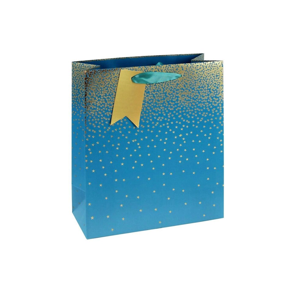 Pack of 6 Teal Ombre Medium Gift Bags | Blue | 6