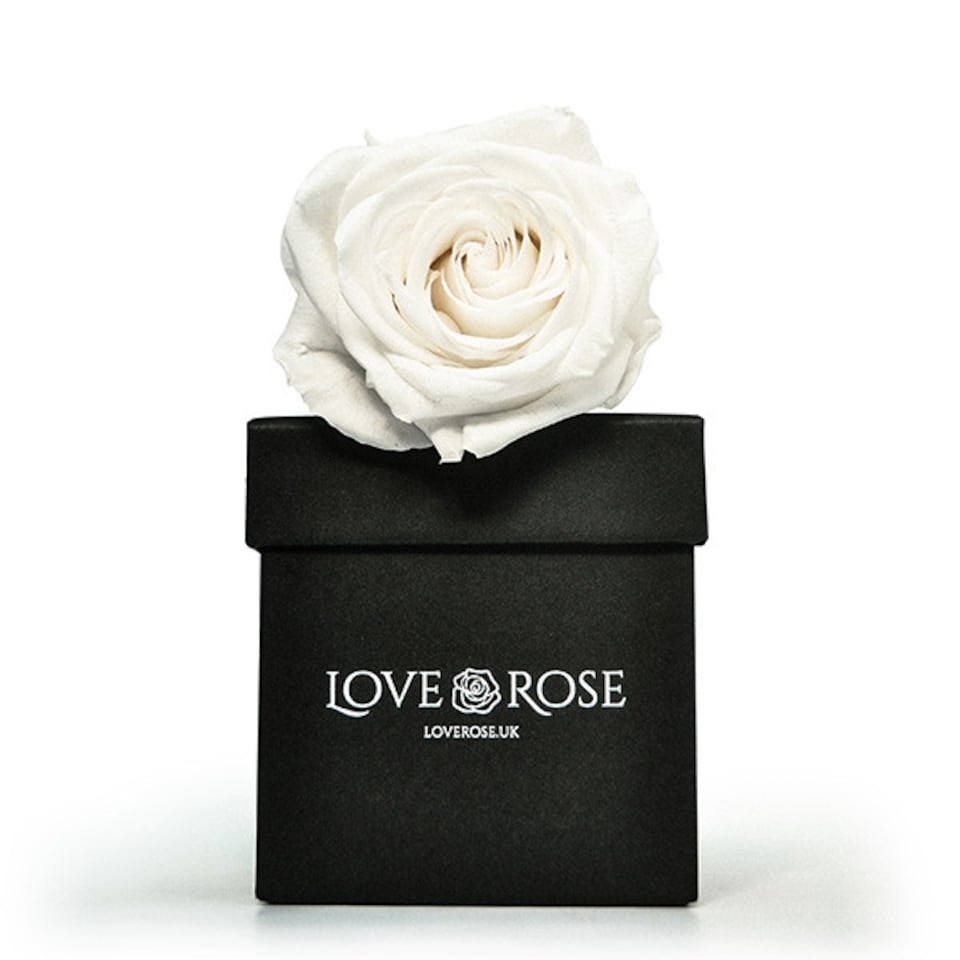Infinity White Rose Head in Black Vase and Gift Box