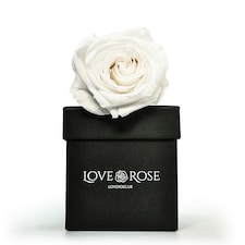 Infinity White Rose Head in Black Vase and Gift Box