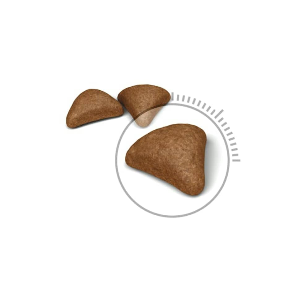 image 1 of Royal Canin Cat Food Hairball Care 34 Dry Mix 2 KG