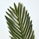image 3 of Homescapes Green Artificial Tropical Leaf 63 cm