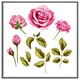 image 4 of Roses & leaves (Picutre Frame) Brown | Oak | XL