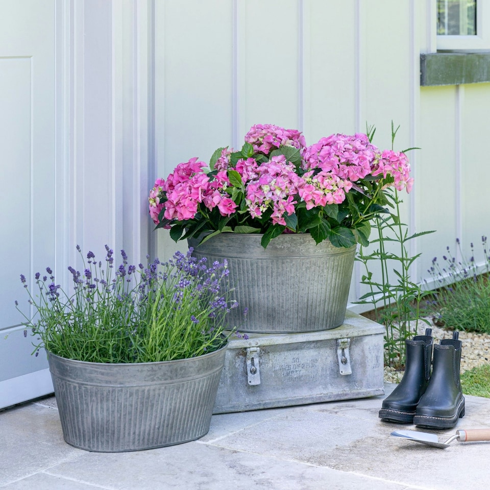 image 1 of Outdoor Galvanised Trough N/A