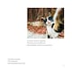 image 2 of Comedy Pet Photography Awards