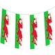 image 2 of Wales Flag Party Bunting 10m with 20 Flags