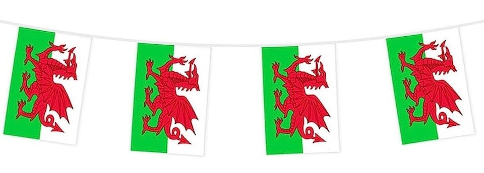 image 1 of Wales Flag Party Bunting 10m with 20 Flags
