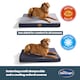 image 8 of Silentnight Firm Support Crate Mattress Pet Bed